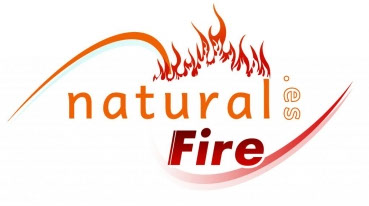 Natural fire biomasa